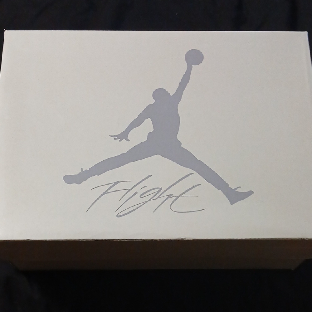 Air Jordan Shoe SB 4